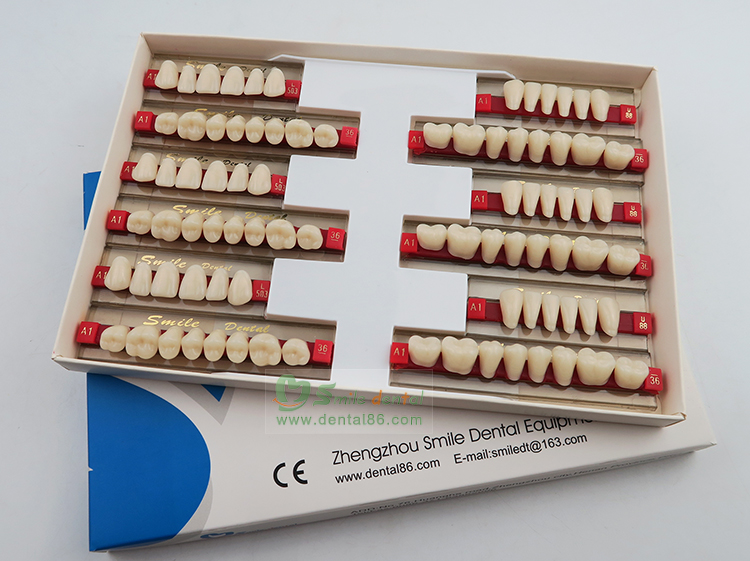 Acrylic Resin Teeth